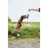 Legetj til hunde Hunter Nebraska Brun Ko #2