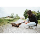 Legetj til hunde Hunter NEBRASKA Beige #4