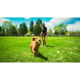 Boldkaster til hunde Hunter #5