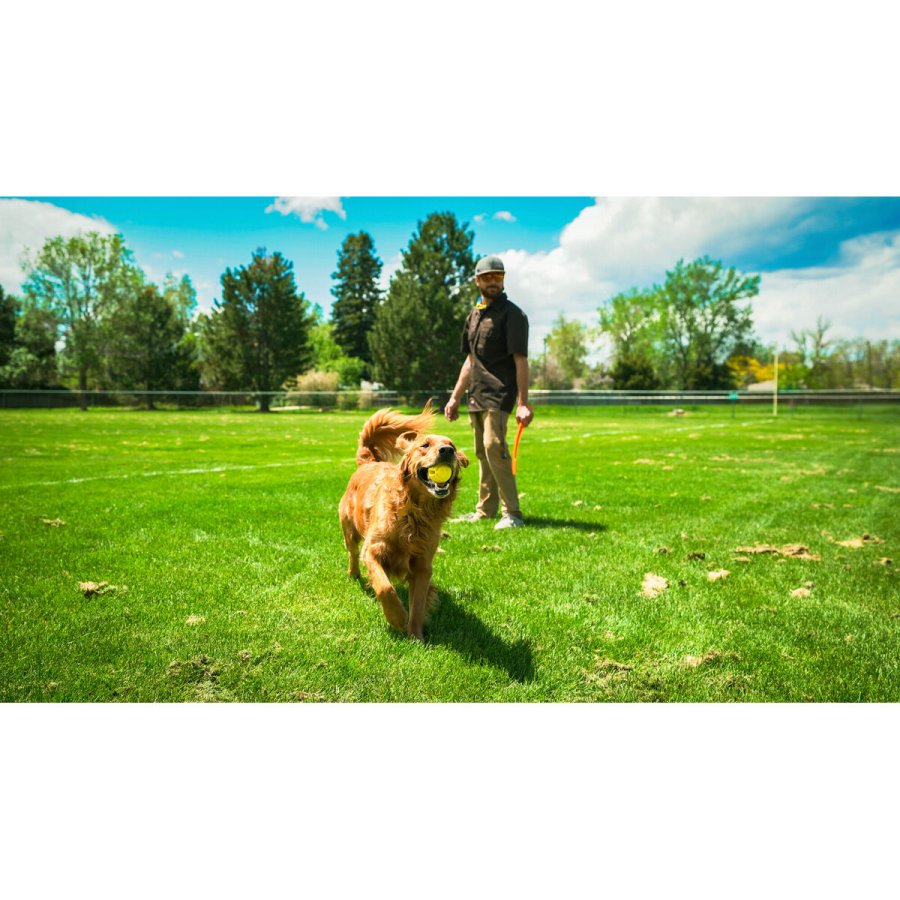 Boldkaster til hunde Hunter #5