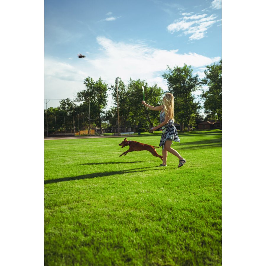 Legetj til hunde Hunter #6