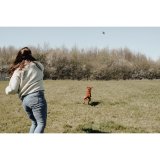 Legetj til hunde Hunter #7