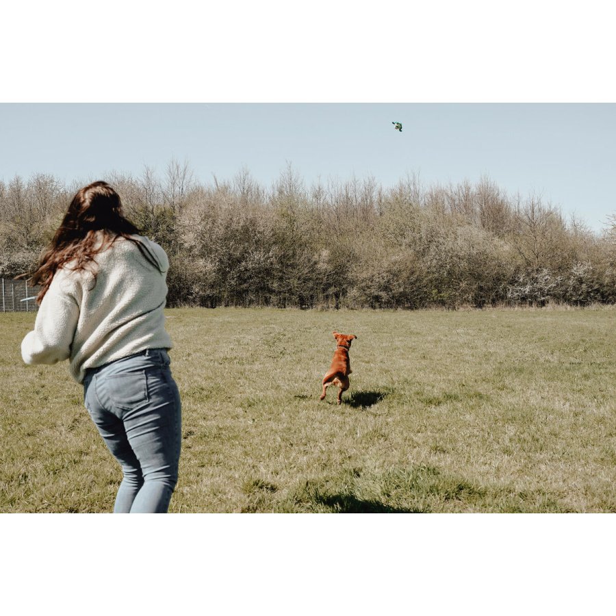 Legetj til hunde Hunter #7