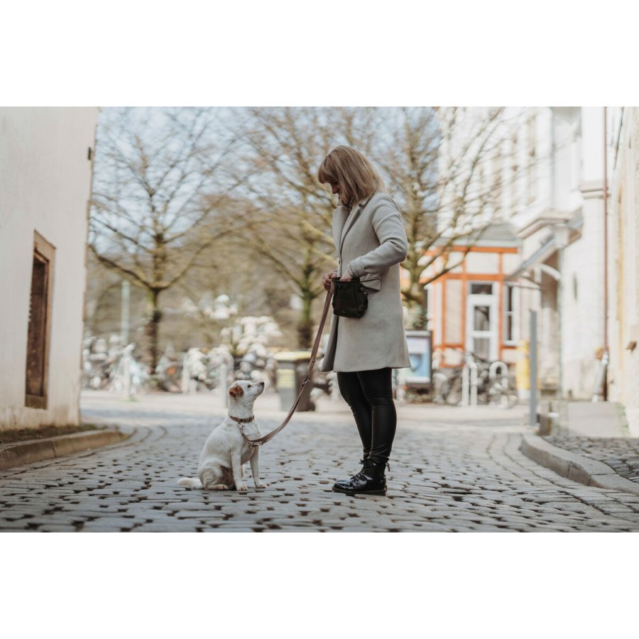 Hundehalsbnd Hunter Inari Beige XL 45-65 cm #5