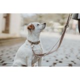 Hundebly Hunter Inari Beige 200 cm #4