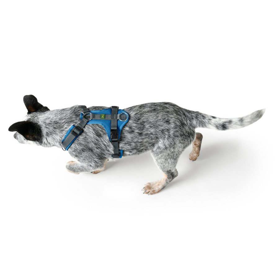 Hundesele Hunter Maldon Up Bl 31-49 cm #3