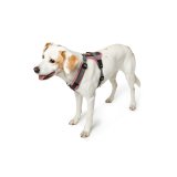Hundesele Hunter Maldon Up Pink 50-84 cm #3