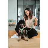 Hundebly Hunter Grn 2 m Justerbar #2