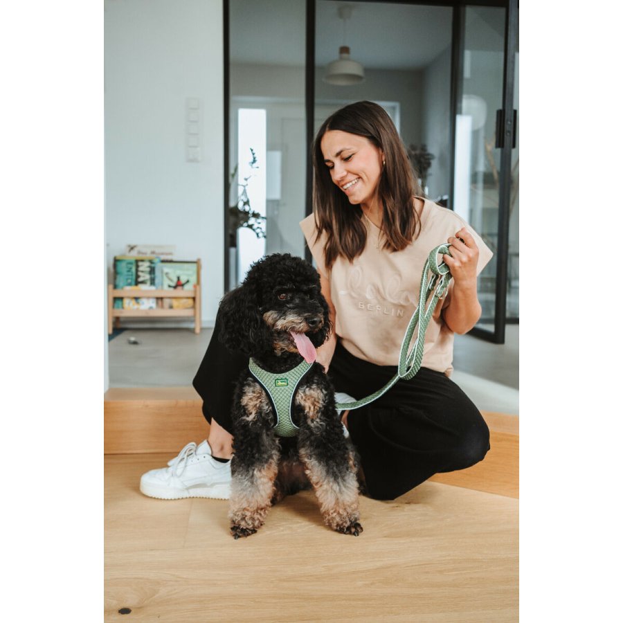 Hundebly Hunter Grn 2 m Justerbar #2