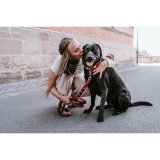 Hundebly Hunter Rd 2 m Justerbar #2