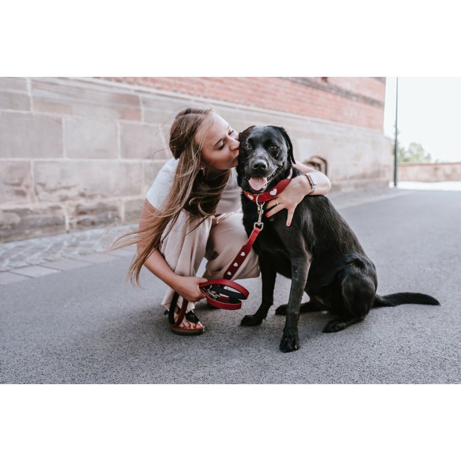 Hundebly Hunter Rd 2 m Justerbar #2