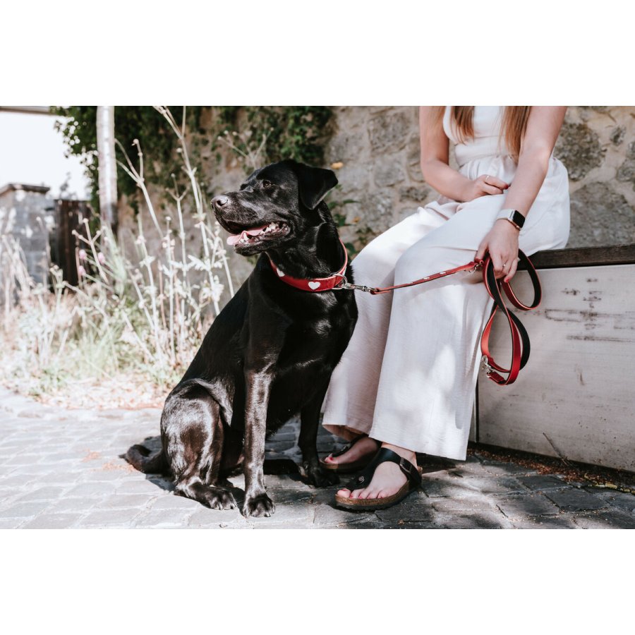 Hundebly Hunter Rd 2 m Justerbar #3