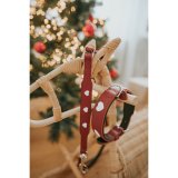 Hundebly Hunter Rd 2 m Justerbar #4