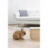 Hus til gnavere Kerbl Beige Tr #4