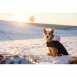 Hundefrakke Kerbl Sort #3