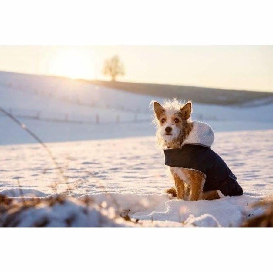 Hundefrakke Kerbl Sort #3