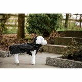 Hund regnfrakke Kerbl Sort L 45 cm #4