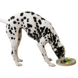 Legetj til katte Kerbl Tr #4