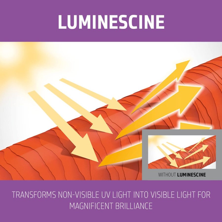 Shampoo Goldwell Blondes Highlights #3