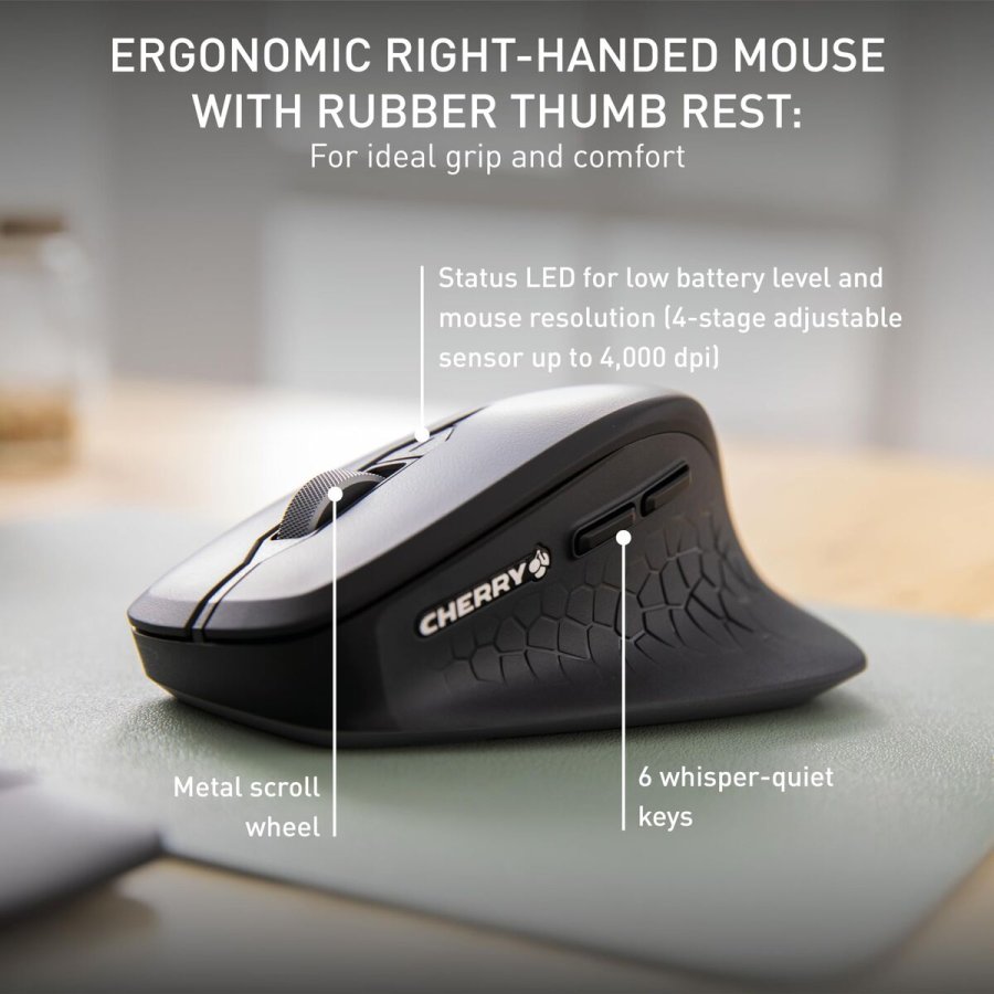 Tastatur og mus Cherry JD-8550ES-2 Sort Spansk QWERTY #7