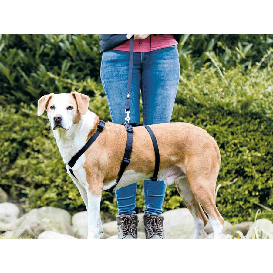 Guide sele til hund Trixie Stay Sort S/M #3