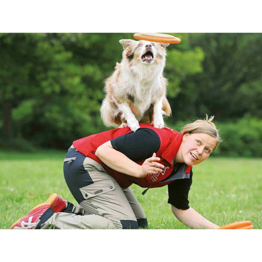 Frisbee Trixie  19 cm #7