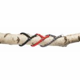 Strop Trixie Sort #6