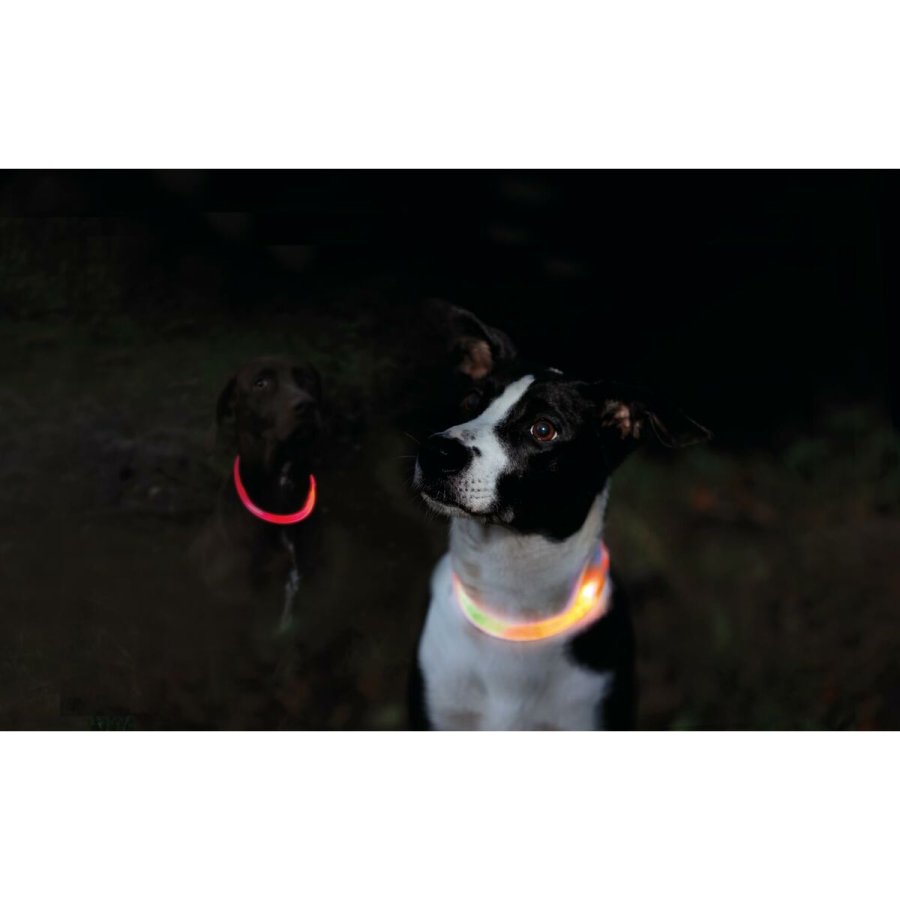 LED krave til kledyr Trixie Orange XS/S #4
