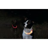 LED krave til kledyr Trixie Orange L/XL #4