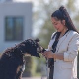 Hundehalsbnd Trixie CityStyle Sort L/XL 50-57 cm #6