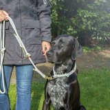 Hundetrning kraver Trixie Soft Rope Grn Mint L/XL 55 cm #2