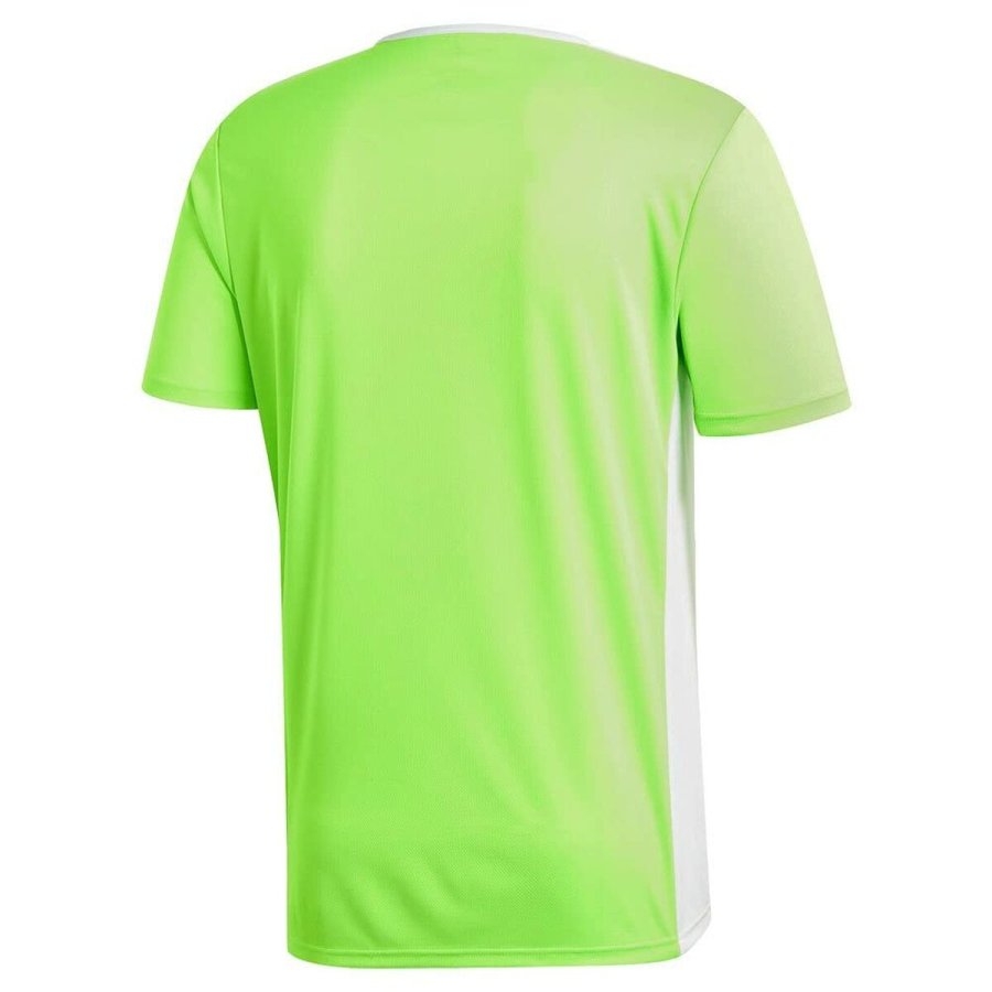 Kort�rmet T-shirt til M�nd Adidas Entrada 80 #7