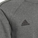 Sweaters uden Htte til Brn Adidas Core 18 Mrkegr #6