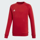 Sweatshirt til B�rn Adidas TOP Y CV3970 R�d #1