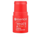 Lbestift Essence WHAT A TINT! 5 g #1