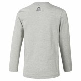 Langrmet T-shirt til Brn Reebok Boys Training Essentials Lysegr #2