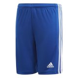 Sport Shorts Adidas Squad 21 Bl� #1