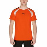 Kortrmet T-shirt til Mnd Puma TeamLIGA Orange Mnd #2