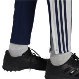 Tr�ningsbukser til fodbold til voksne Adidas Sq21 Tr Marinebl� M�nd #2
