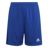 Sport Shorts Adidas Ent22 Y Bl� #1