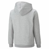 Sweatshirt til Brn Puma Ess+ 2 Col Big Logo Lysegr #2
