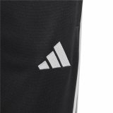 Sportssko til Brn Adidas Tiro 23 Club #3