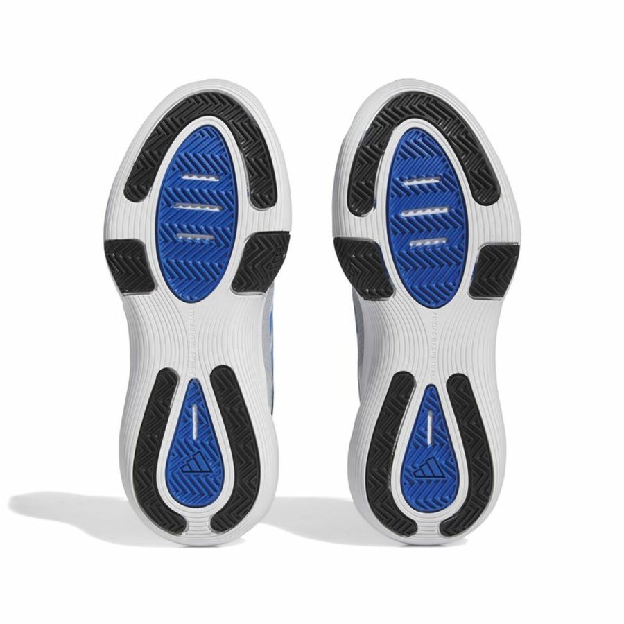 Basketballsko til voksne Adidas Bounce Legends Gr� Lysegr� #4