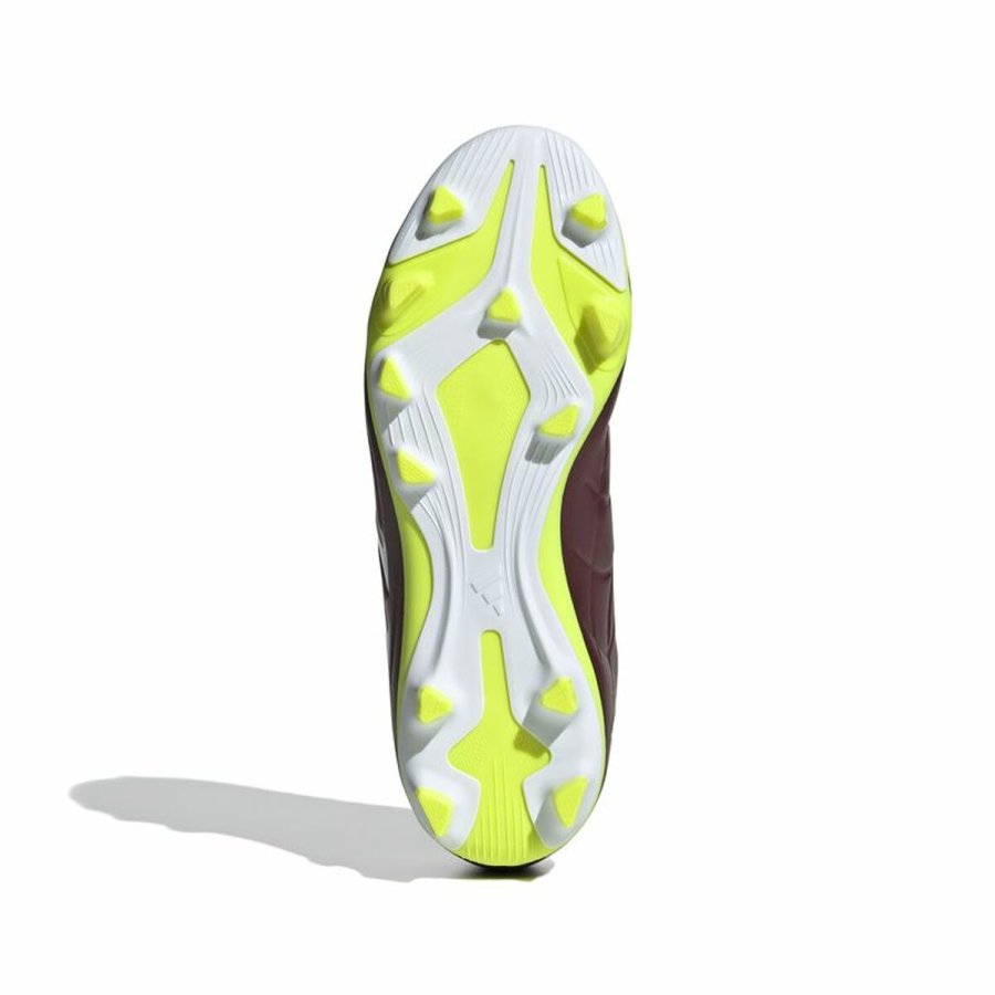 Voksen fodboldstvler Adidas Copa Pure 2 Club Fxg Brun #3