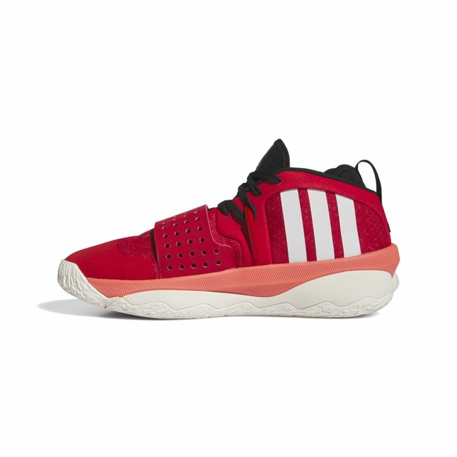 Basketballsko til voksne Adidas Dame 8 Extply Rd #2