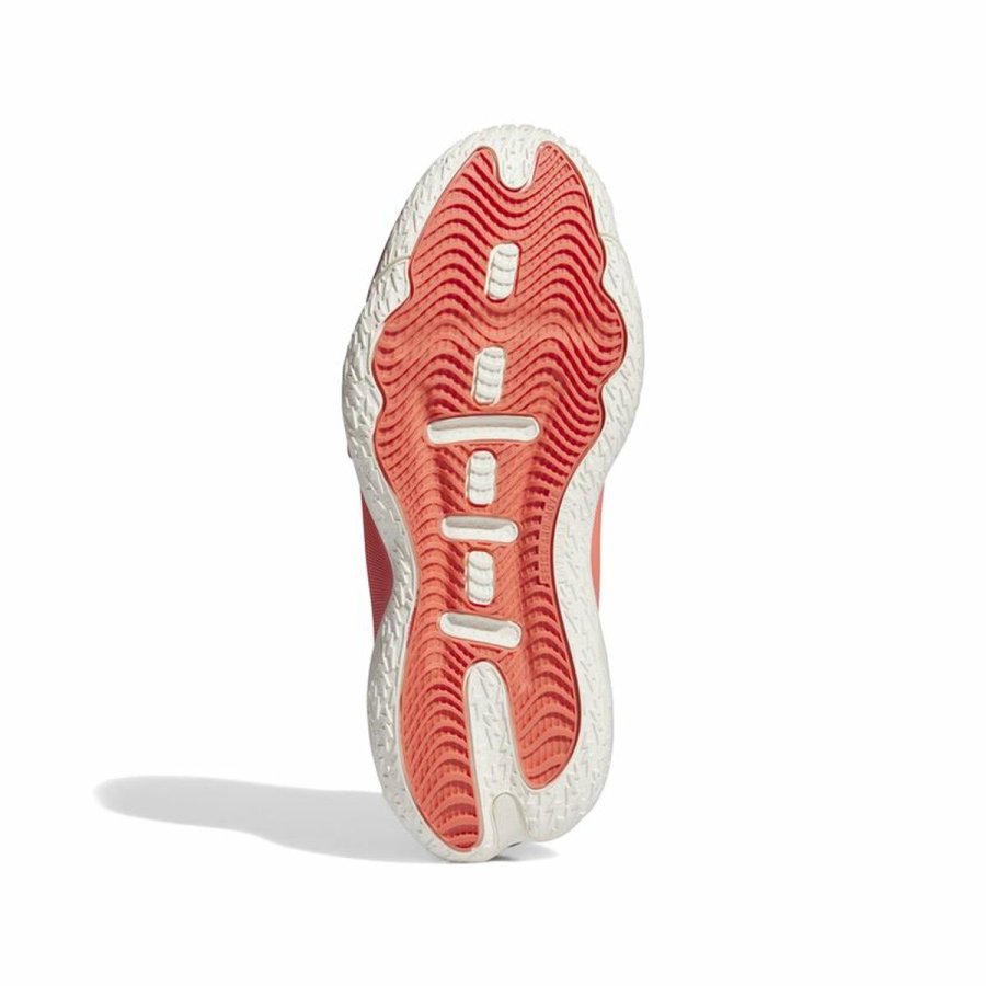 Basketballsko til voksne Adidas Dame 8 Extply Rd #3