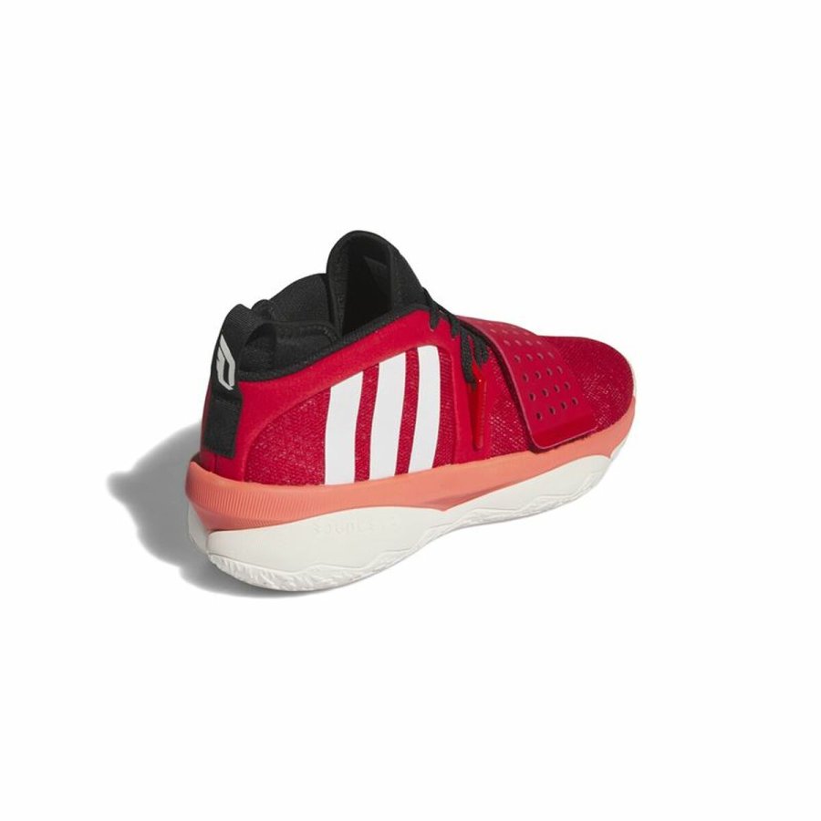 Basketballsko til voksne Adidas Dame 8 Extply Rd #6
