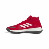 Basketballsko til voksne Adidas Bounce Legends Escmej Rd #2