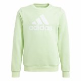 Sweaters uden Htte Adidas Essentials Grn #1