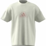 Kortrmet T-shirt til Mnd Adidas All Szn Graphic Seasonal Hvid #1